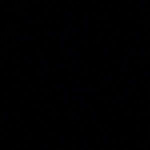 Meet your Posher, Annabel